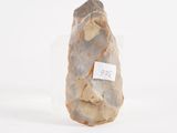 an image of a rock with a price tag on it