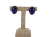 a pair of blue stone earrings on a stand
