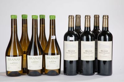 six bouteilles de vin sont posées les unes à côté des autres sur une table