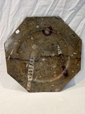 a picture of a plate with a fish design on it