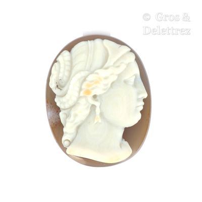 a picture of a woman ' s head in a shell