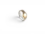 a gold and silver ring on a white background