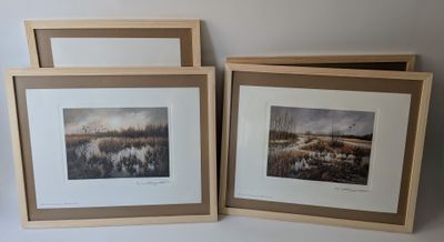 trois photos encadrées représentant un marais et un paysage marécageux