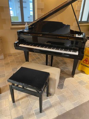 a black piano and a stool in a living room