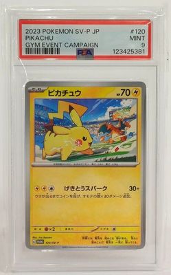 La carte Pokémon se trouve dans un étui en plastique posé sur une surface blanche.
