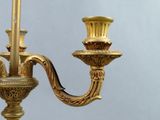 a gold colored chandelier with two candles on it