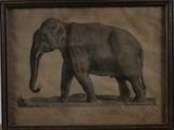 painting of an elephant in a frame on a wall