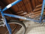 a blue bicycle that is parked in front of a wooden door