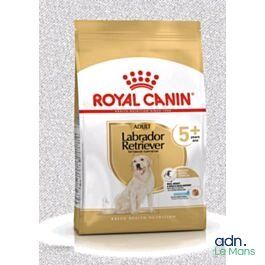 Royal Canin Labrador Retriever Adult – Croquettes pour chiens adultes