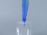 une photo d'une plume bleue et verte dans un vase en verre