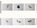 une photo représentant un groupe d'oiseaux accrochés au mur