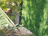 une chaise de jardin posée dans l'herbe, à côté d'une haie