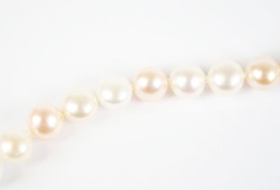une image représentant un collier de perles sur fond blanc