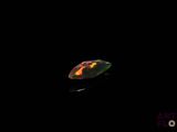 an image of a lady bug in the dark