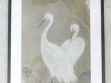 a picture of a picture of two birds on a wall