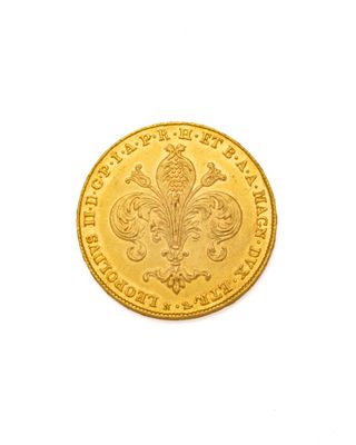 gros plan d'une pièce d'or sur une surface blanche