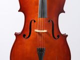 un gros plan d'un violoncelle sur fond blanc