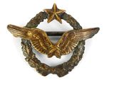 an image of a badge with two wings and a star in the middle