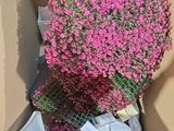 a cardboard box with a bunch of pink flowers in it