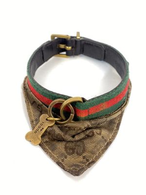 une image représentant un collier de chien muni d'une plaque d'identité