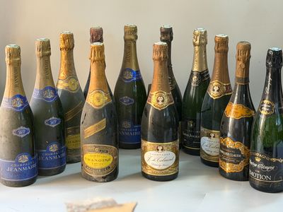12 bouteilles Champagne divers CHAMOINE, TALMONT etc Vieux