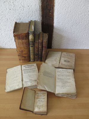 XIXe siècle : 9 volumes très abîmés et incomplets "Ecoles Ro…