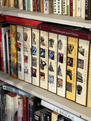 les nombreux livres qui se trouvent sur les étagères de la bibliothèque