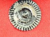 a silver button on a red cloth with a black background