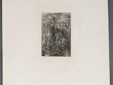 un dessin en noir et blanc représentant une personne dans un arbre