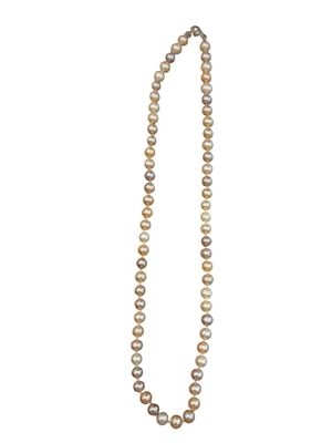 a pearl necklace with a gold clasp on a white background