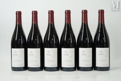 six bouteilles de vin rouge sont alignées sur une table