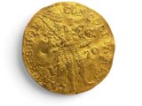 an image of a gold coin on a white surface