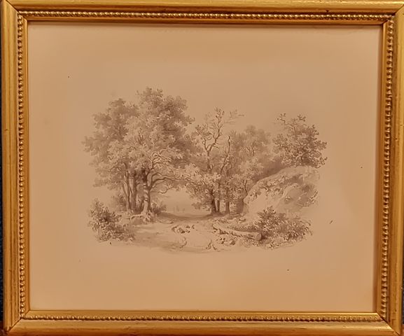 H. VANDERSURCH « Chemin en sous-bois ». Crayon. Signé en bas à dr