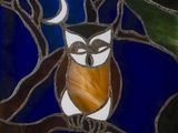 a stained glass picture of an owl sitting on a tree branch
