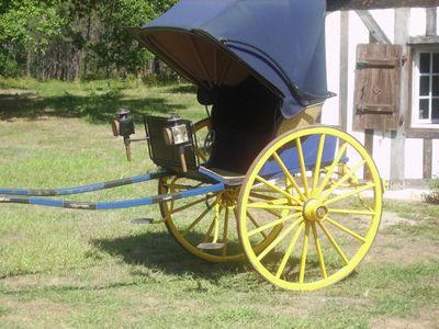 a horse drawn carriage that is parked in the grass