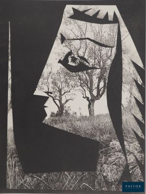 an image of a black and white photo of a face in the woods