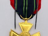 an image of a gold medal with a red ribbon around it