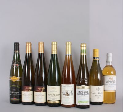 plusieurs bouteilles de vin sont alignées sur une table