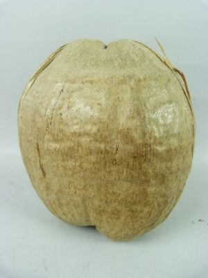une image représentant une pomme sur une assiette blanche