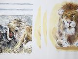 two pictures of a lion and a sheep on the same page