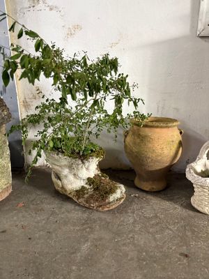 trois pots contenant des plantes, posés par terre