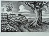 un dessin en noir et blanc représentant un arbre dans un champ