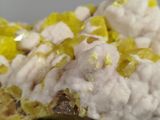 a close up of a piece of food with yellow and white toppings