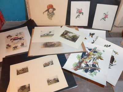 Lot de gravures XIXe. Scènes équitation, fleurs, scènes de chasses ang