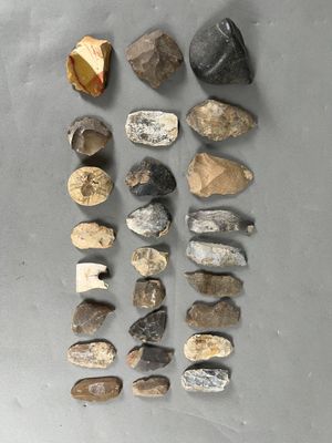 various rocks and stones are arranged in a row on a gray surface