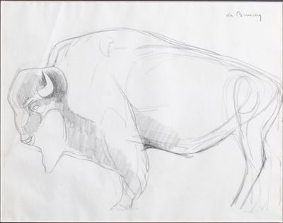 pencil drawing of a bison standing in front of a white background