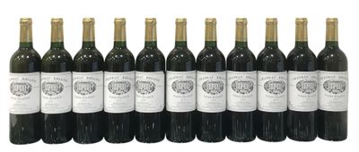 11 bouteilles CHÂTEAU BRIAND DE SAINT-SULPICE, bordeaux blan…