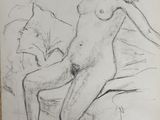 Photo 6/11 du lot