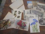 beaucoup de cartes posées sur la table, avec des images dessus