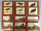 six cartes représentant des oiseaux et des animaux, posées sur une table